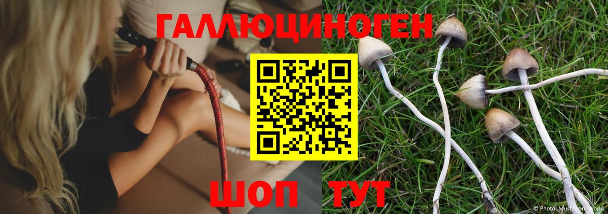 купить закладку  Псилоцибиновые грибы Psilocybine cubensis  Вход с VPN  Галлюциногенные грибы ЛСД  Тихорецк 